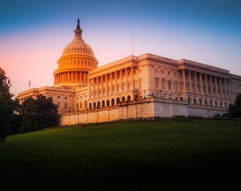 US Capitol Building in Washington DC at Sunrise with Flowers