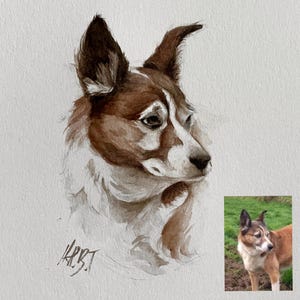 Custom Pet Portraits - Hand-Painted Watercolour Illustration