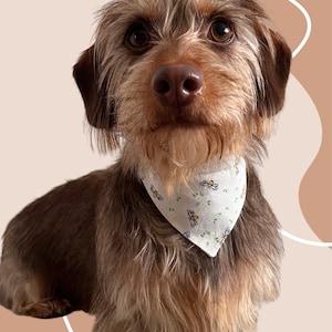 Dog Neckerchief/Pet Bandana