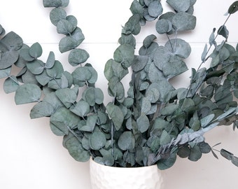 Eukalyptus stabilisiertes getrocknetes Blumenbündel getrocknetes Hochzeits-Greenery-Dekor Großer Bündel-roter Eukalyptus konserviertes grünes Eukalyptus-Dekor