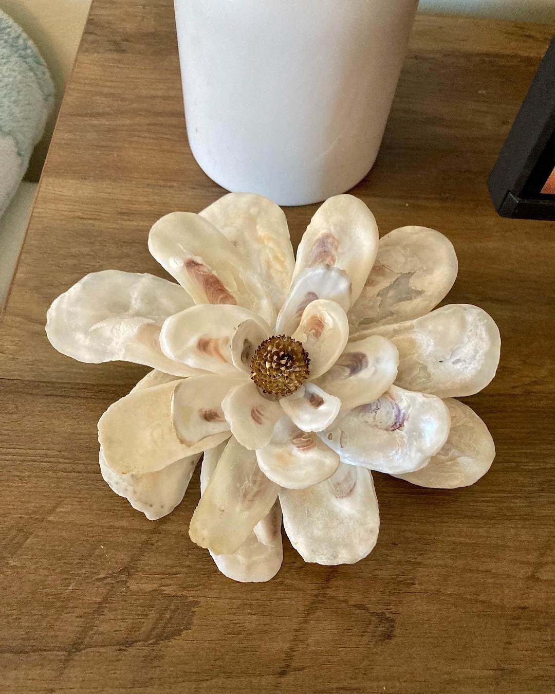 Oyster Shell Magnolia Flower Oyster Shell Flower Coastal - Etsy