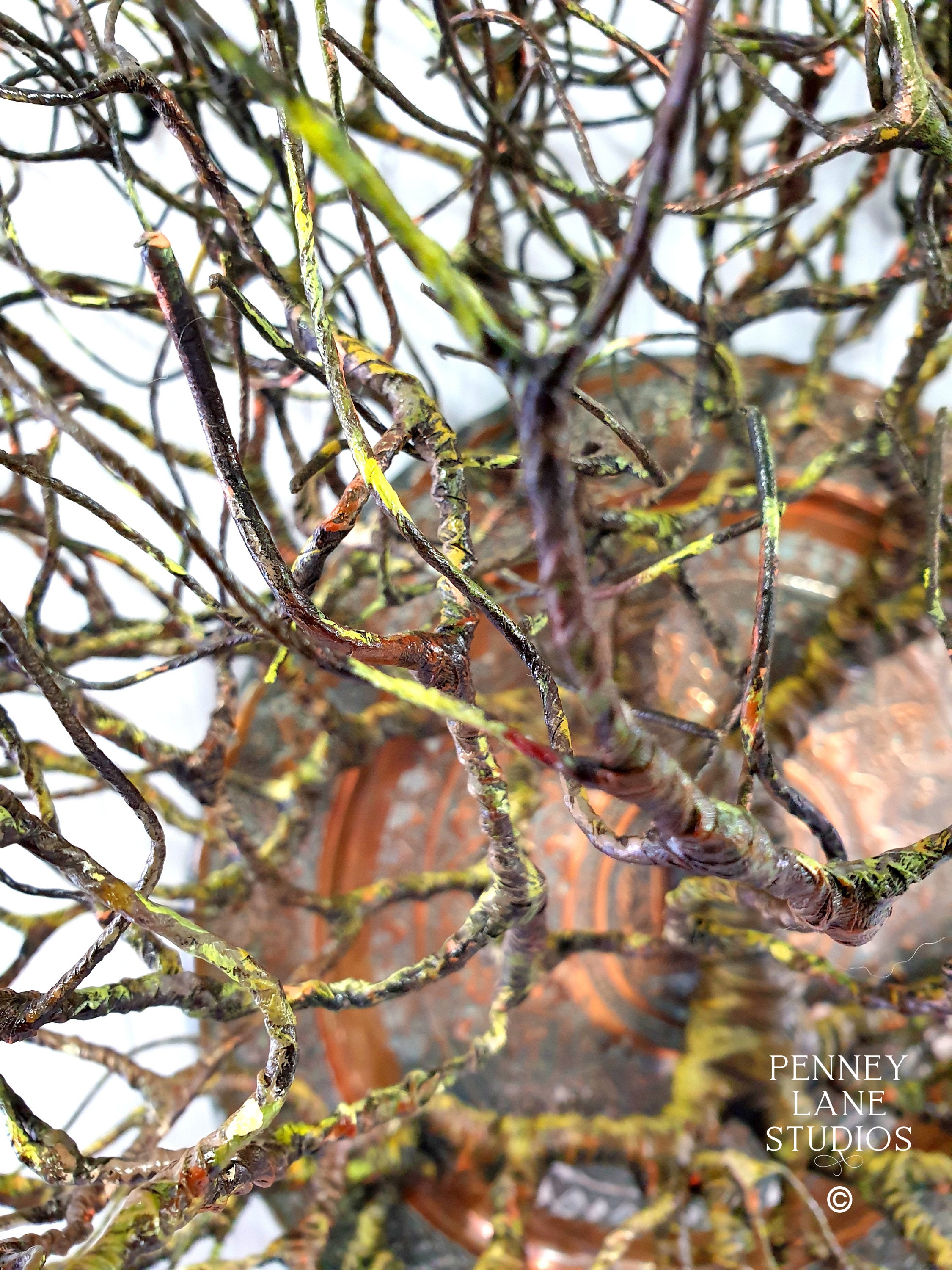 Copper Plate Oak Tree - Etsy