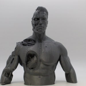 Terminator bust