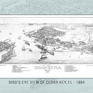 Vogelaugen-Blick auf Zedernschlüssel, FL 1884 - 16X9 | Digitaler Download