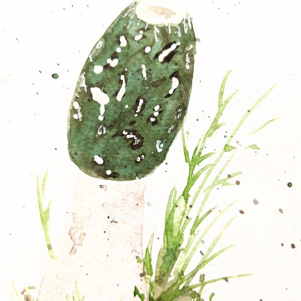 Stinkhorn Fungi Hand Painted Watercolours Blank Greetings Card