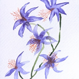 Hand Painted Watercolour Flowers Blank Greetings Card