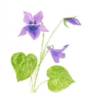 Original Watercolour Little Violet Blank Greetings Card