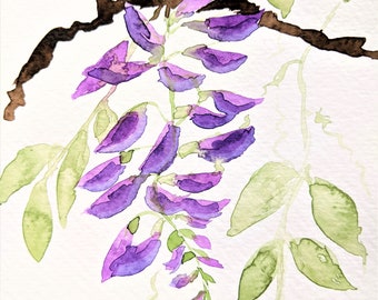 Watercolour Wisteria Blank Greetings Greetings Card