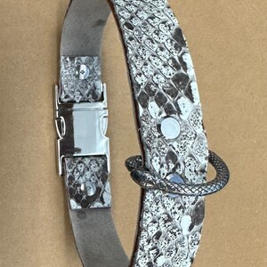 May include: A white and gray snakeskin dog collar with a silver buckle and a silver snake-shaped ring.