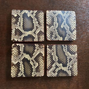 May include: Four square coasters with a snakeskin pattern in shades of brown, tan, and black. The coasters have a reddish-brown border and are arranged on a dark wooden surface.