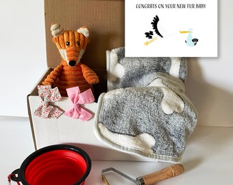 Pet dog adoption gift box, new puppy present. new pet toys gift box