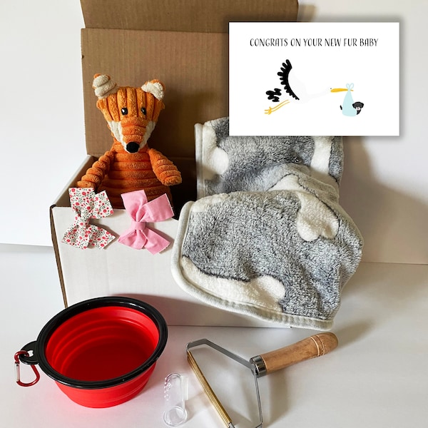 Pet dog adoption gift box, new puppy present. new pet toys gift box