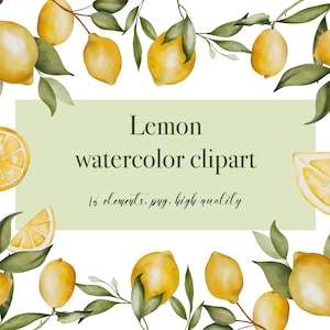 Aquarelle agrumes clipart - illustration botanique agrumes pour mariage boho - aquarelle citrons Clip Art - citron aquarelle peinte à la main 009