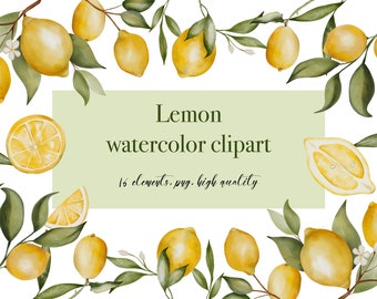 Clipart di agrumi dell'acquerello - Illustrazione di agrumi botanici per il matrimonio boho - ClipArt di limoni dell'acquerello - Acquerello di limone Dipinto a mano 009