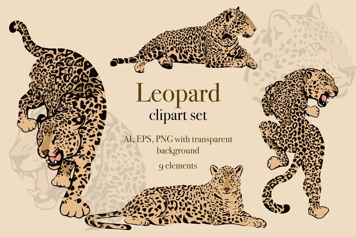 Leopard Digital Clipart Individual Leopard Elements Logo - Etsy