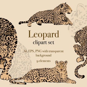 Leopard digitale Clipart, einzelne Leopard Elemente, Logo-Elemente, Leopard PNG + EPS Bilder
