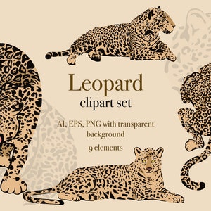 Leopard Digital Clipart Individual Leopard Elements Logo - Etsy