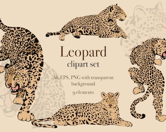 Leopard digital clipart, individual leopard elements, logo elements, leopard PNG + EPS Images