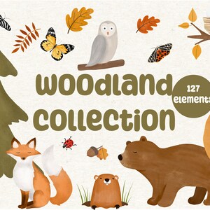 Forest Animal Clipart - PNG - Woodland Animals Clipart - Deer clipart - Baby Shower Clipart - Printable Wall Art - Digital Paper - Kids art
