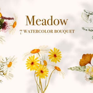 Wildflowers watercolor floral bouquets , wild flowers, wedding clipart, spring summer, meadow, watercolor wild flower illustrations