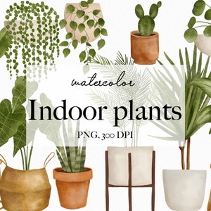 Plantas de interior de acuarela - Descarga de jardinería - Descarga PNG - Monstera Palm Aloe - Planta de interior de acuarela - Vegetación de plantas boho 11