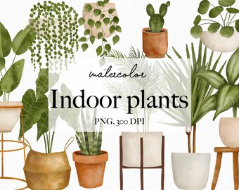 Watercolor Indoor Plants - Gardening Download - PNG Download - Monstera Palm Aloe - Watercolor Houseplant- Boho Plant greenery 11