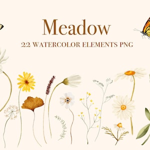 Clipart floral em aquarela de flores silvestres, flores silvestres, clipart de casamento, primavera verão, prado, ilustrações de flores silvestres em aquarela
