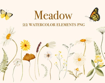 Wildflowers watercolor floral clipart , wild flowers, wedding clipart, spring summer, meadow, watercolor wild flower illustrations