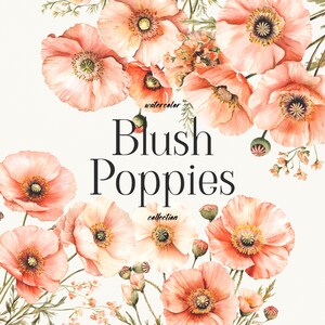 Blush Mohnblumen Aquarell Clipart Sammlung, florale Illustrationen für Hochzeitseinladungen, Briefpapier, Scrapbooking, Grußkarten, DIY