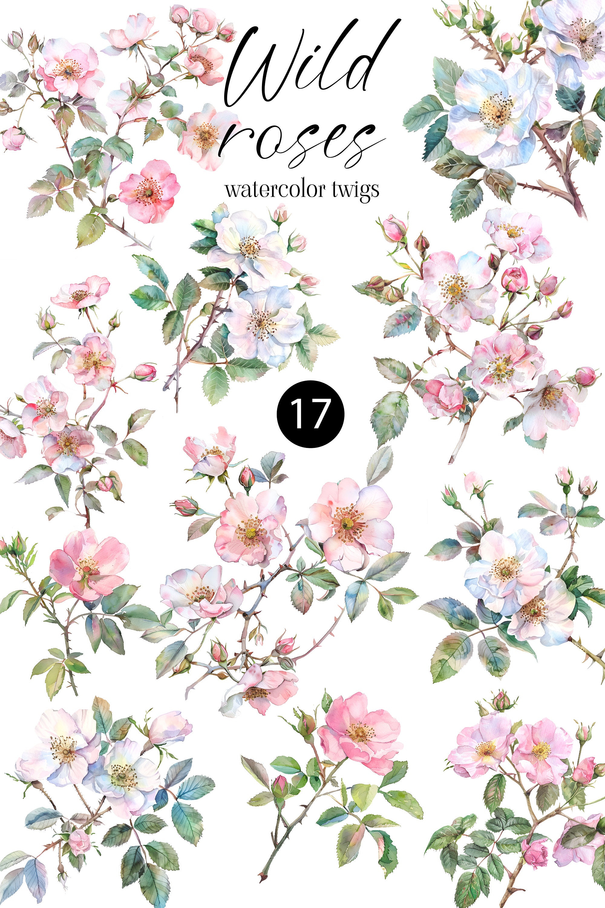 Watercolour Wild Roses Watercolor Wild Roses Clipart - Watercolor Floral Clipart - Wild Roses ...