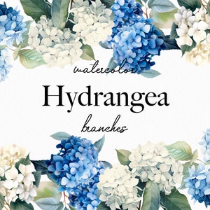 Hortensie Aquarell Clipart, Blau Blumen Hyndragea Png, Hortensie Bouquet, transparent, Blume, Frühling, Garten, kommerzielle Nutzung 012