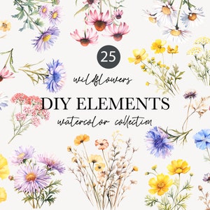 Wildflowers watercolor floral clipart , wild flowers, wedding clipart, spring summer, meadow, watercolor wild flower illustrations