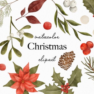 Winter Watercolor Clipart - Christmas Flowers - Pine Clipart- Poinsettia - Christmas Clipart - Winter Clipart - Winter Flowers - Berries