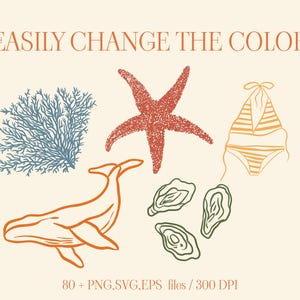 May include: A set of 80+ digital illustrations featuring a whale, starfish, coral, seashells, and a swimsuit. The illustrations are in a minimalist style with a vintage color palette. The files are in PNG, SVG, and EPS formats and are 300 DPI.