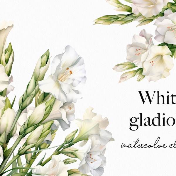 Watercolor Floral Clipart - Watercolor White Gladiolus flowers clipart png - White watercolor flowers png for invites - Digital clipart png