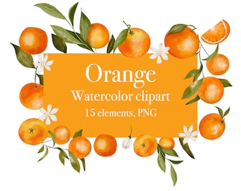 Watercolor Orange Clipart -citrus fruit clip art - flowers Oranges -Branches Blossom summer -Hand painted -Invitation Wedding -Scrapbook PNG