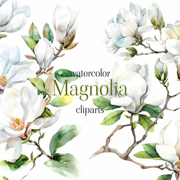Watercolor Magnolia bloom Clipart - Watercolor Floral clipart png - Blush Magnolia flowers bouquets clipart png - Digital clipart PNG