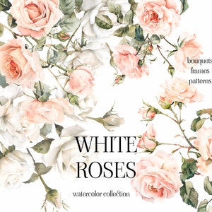 Watercolor White Roses Clipart - Watercolor Floral clipart - White rose flowers bouquets clipart png - Rose set png  Digital clipart PNG 014