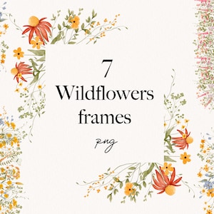 Clipart floral de flores silvestres em aquarela - Clipart de moldura de jardim em aquarela - Ilustrações de flores silvestres florais de verão em campo de primavera - Flores macias PNG