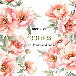 Acuarela Blush Peonies Clipart Set: Marcos y patrón sin costuras - Acuarela Floral clipart png - Floral Digital Design Bundle - Blush Peony