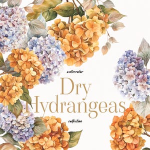 Hortensie Aquarell Clipart, trockene Blumenhortensie Png, Hortensienstrauß, Hortensienrahmen, Blume, Frühling, Garten, kommerzielle Nutzung