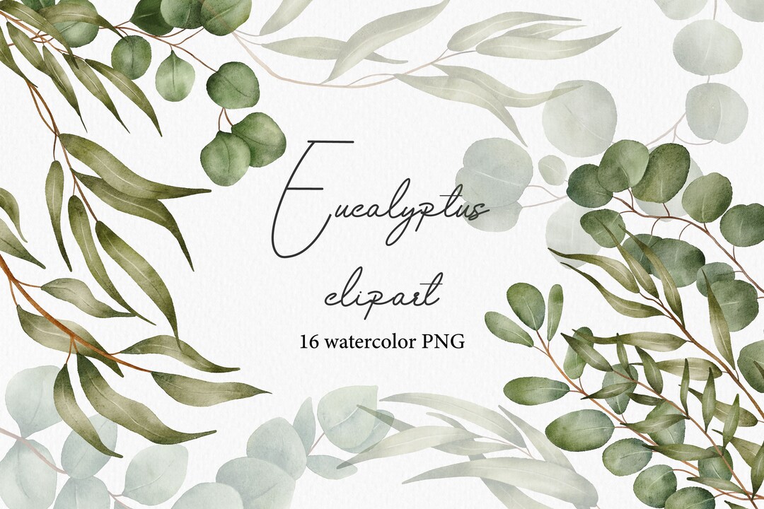 Eucalyptus Watercolor Set - Greenery Clipart - Foliage Set - Green ...