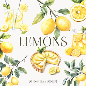 Aquarell Zitrone Clipart Bundle - Aquarell Zitrus Clipart - Botanische Illustration für Hochzeit - Limonade, Zitronentörtchen, PNG Dateien