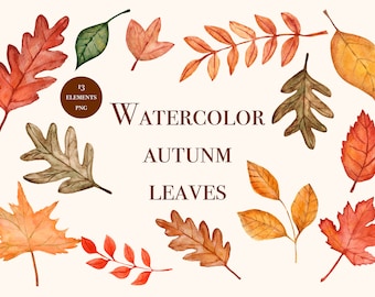 Fall Leaves Clip Art Watercolor Fall Clipart Floral Green Red Brown Bright Fall Leaves Thanksgiving Harvest Autumn Decor Graphics PNG