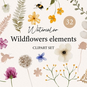 Flores silvestres clipart floral em aquarela, flores silvestres, clipart de casamento, primavera verão, prado, ilustrações de flores silvestres em aquarela 005
