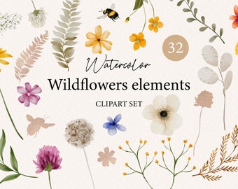 Wildflowers watercolor floral clipart , wild flowers, wedding clipart, spring summer, meadow, watercolor wild flower illustrations 005