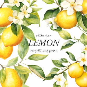 Clipart di limone dell'acquerello - PNG di limoni dell'acquerello - Clipart ramoscello di limone - Ghirlanda di limone - Fiori di limone - Clipart floreale - Clipart digitale PNG