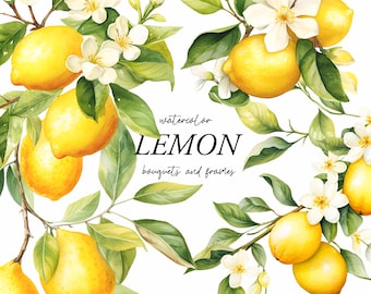 Watercolor Lemon clipart - Watercolor lemons png - Lemon twig clipart - Lemon wreath - Lemon flowers - Floral clipart - Digital clipart PNG