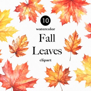 Fall Leaves Clip Art Watercolor Fall Clipart Floral Green Red Brown Bright Fall Leaves Thanksgiving Harvest Autumn Decor Graphics PNG