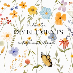 Clipart floral de flores silvestres em aquarela - Clipart de guirlanda de jardim em aquarela - Ilustrações de flores silvestres florais de verão em campo de primavera - Flores macias PNG